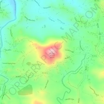 Mapa topográfico Piedra Blanca, altitude, relevo