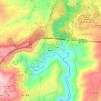 Mapa topográfico Relvas, altitude, relevo