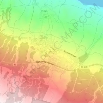 Mapa topográfico Honokaa, altitude, relevo
