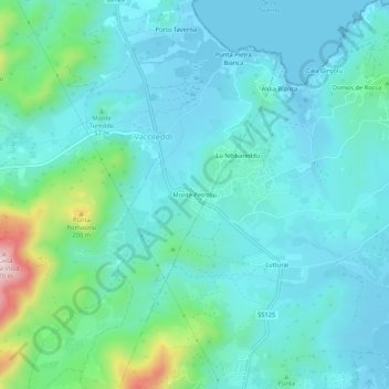 Mapa topográfico Monte Petrosu, altitude, relevo
