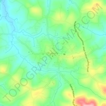 Mapa topográfico Pulpally, altitude, relevo