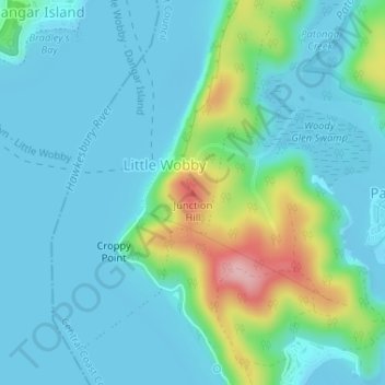 Mapa topográfico Junction Hill, altitude, relevo