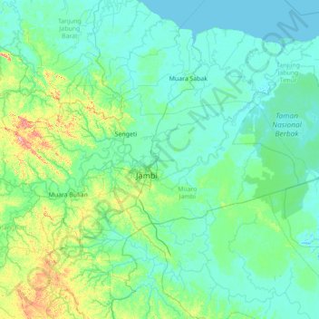 Mapa topográfico Kumpeh Ulu, altitude, relevo
