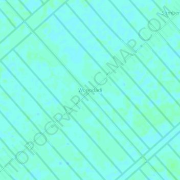 Mapa topográfico Wonodadi, altitude, relevo
