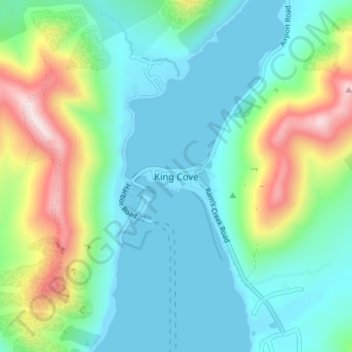 Mapa topográfico King Cove, altitude, relevo