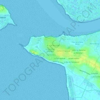 Mapa topográfico Le Grand Fief Chagnaud, altitude, relevo