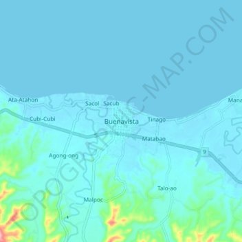 Mapa topográfico Buenavista, altitude, relevo