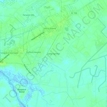 Mapa topográfico Cedar Springs, altitude, relevo