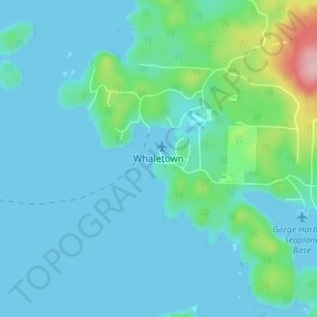 Mapa topográfico Whaletown, altitude, relevo