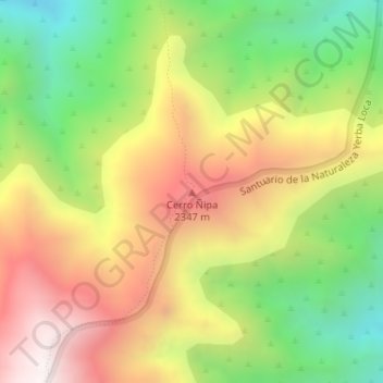 Mapa topográfico Cerro Ñipa, altitude, relevo