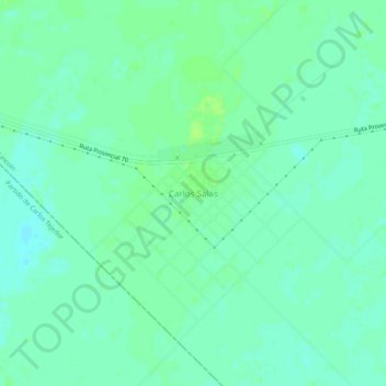 Mapa topográfico Carlos Salas, altitude, relevo