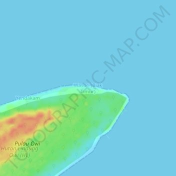 Mapa topográfico Wasori (Biak Timur), altitude, relevo