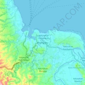 Mapa topográfico Waingapu, altitude, relevo