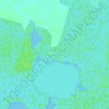 Mapa topográfico Playa El Guanal, altitude, relevo