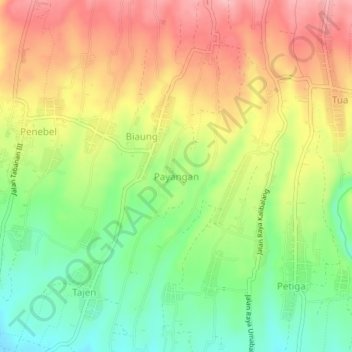 Mapa topográfico Payangan, altitude, relevo