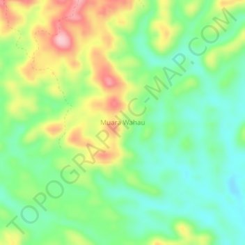 Mapa topográfico Muara Wahau, altitude, relevo