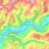 Mapa topográfico Rieschweiler, altitude, relevo