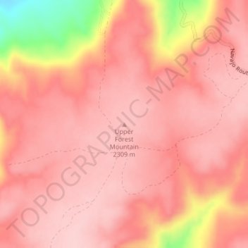 Mapa topográfico Upper Forest Mountain, altitude, relevo