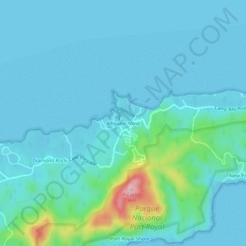 Mapa topográfico Alligator Nose, altitude, relevo