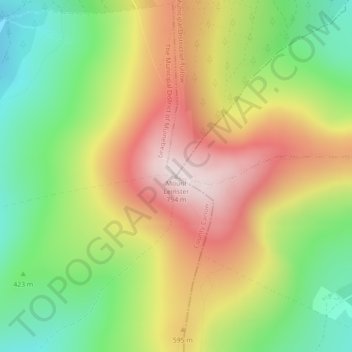 Mapa topográfico Mount Leinster, altitude, relevo