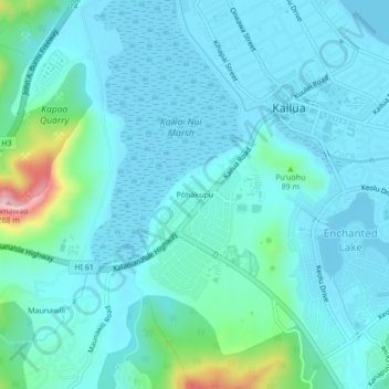 Mapa topográfico Pōhākupu, altitude, relevo
