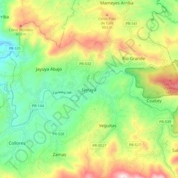 Mapa topográfico Jayuya, altitude, relevo