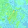 Mapa topográfico Savannah, altitude, relevo