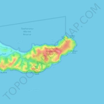 Mapa topográfico Tawharanui Regional Park, altitude, relevo