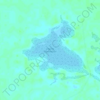 Mapa topográfico Laguna Parinacota, altitude, relevo