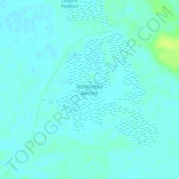Mapa topográfico Noorumba Swamp, altitude, relevo