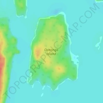 Mapa topográfico Opeongo Island, altitude, relevo