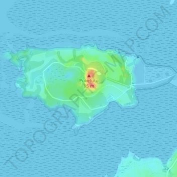 Mapa topográfico Puketutu Island, altitude, relevo